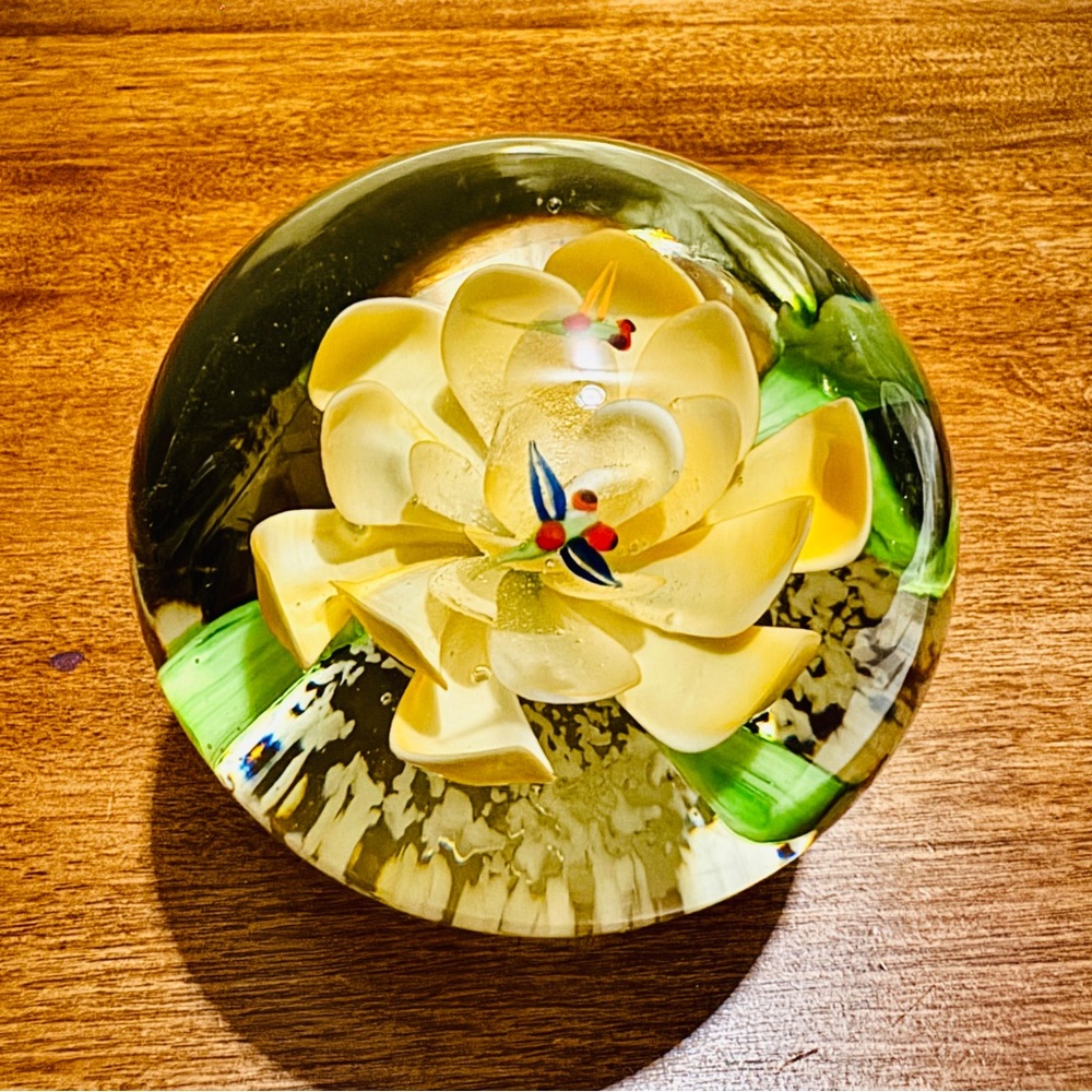 14. Vintage Plumeria Flower, also known as Frangipani Paperweight Collectable